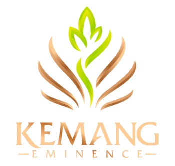 logo kemang eminence